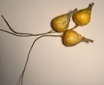 Mini Deko Kürbis gelb